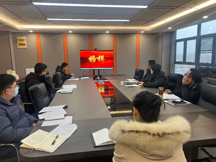 新能源党日活动